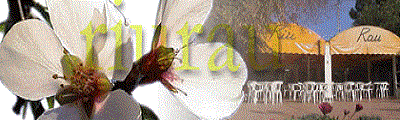 www.riurau.es