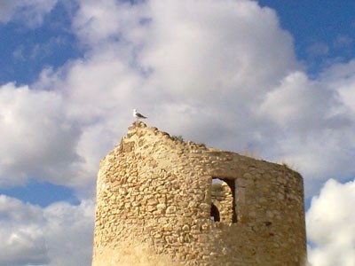 Torre Moli Morello