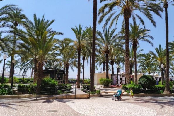 Que Hacer en  Alicante