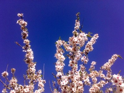 Arte en naturaleza