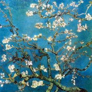 Vincent Van Gogh