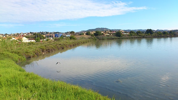 Puente de diciembre en la Costa Blanca