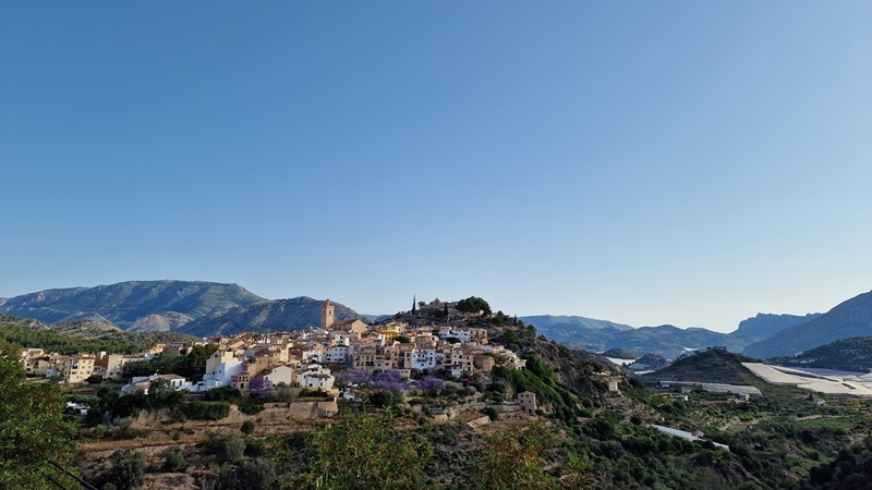 Saborea Alicante