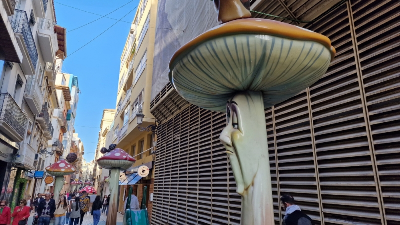 Calle San Fernando Alicante 