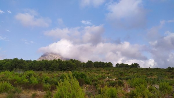 Guia de Restaurantes de Javea