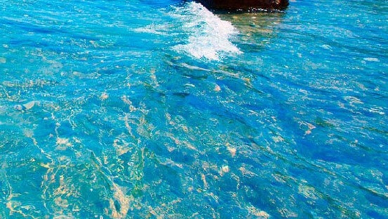 Reservar en Restaurantes de Denia Reservar en Restaurantes de Denia