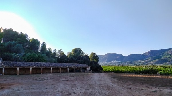 Vinos artesanos en la Vall de Pop