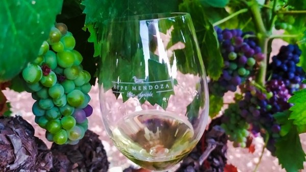 Tcnicas de elaboracin  tradicional