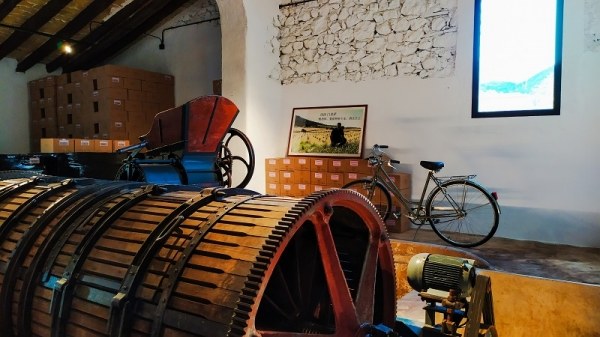 Sostenibilidad en las Vias