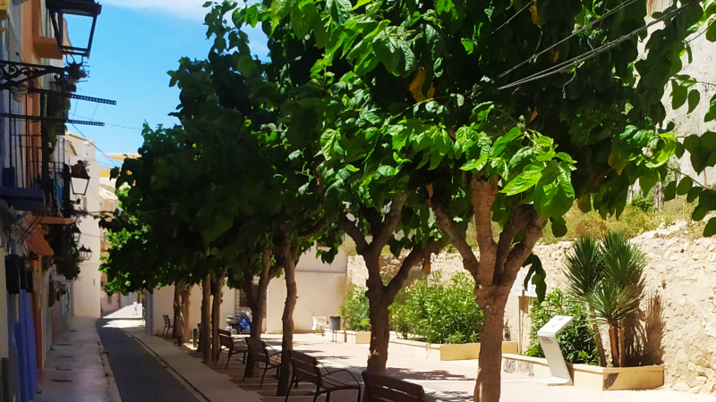 Guia de Viaje de Villajoyosa
