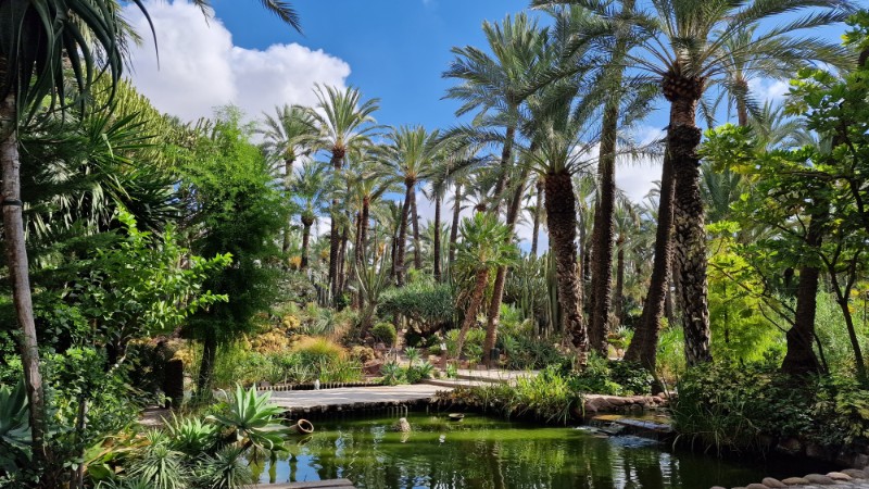 Guia de Viaje de Elche