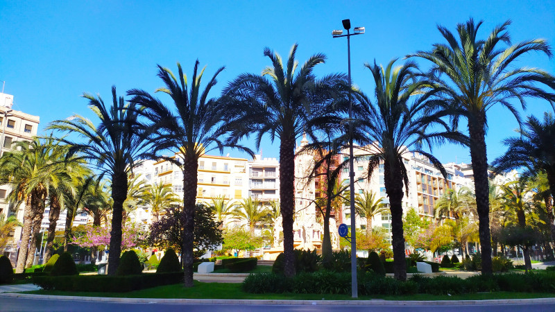 Fotos de Alicante