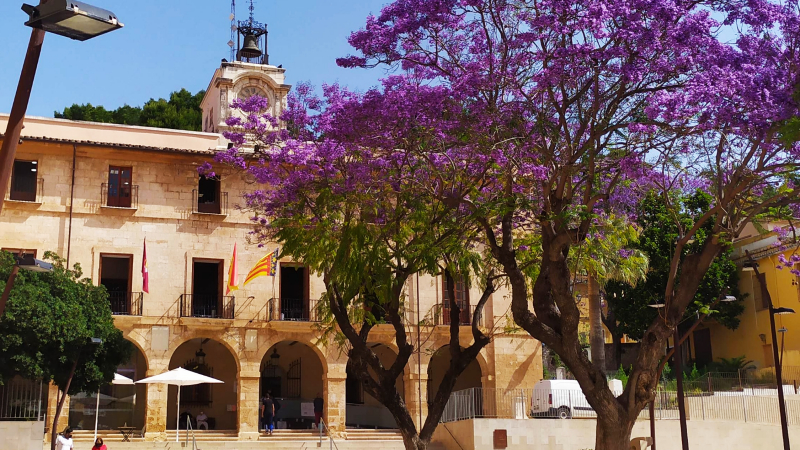 Guia de Viaje de Denia