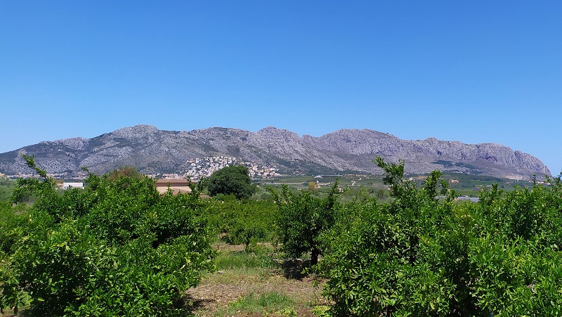 Fotos de Rafol de almunia