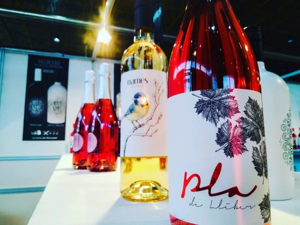 Guia de Restaurantes de Alicante