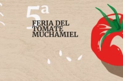 Hoy en Alicante