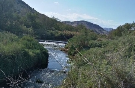 Que hacer en Novelda