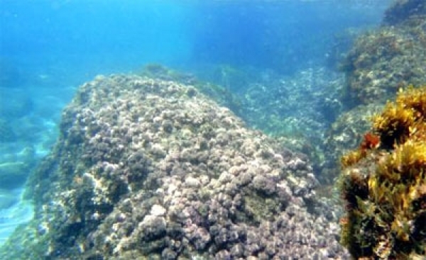 Guia de Ocio de Altea 