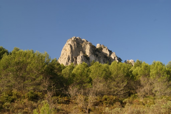 Guia de Castell de castells