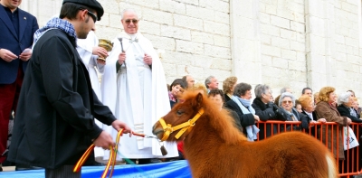 Fiestas en Alicante y provincia