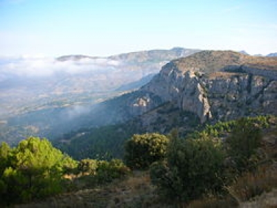 Guia de Callosa de ensarria