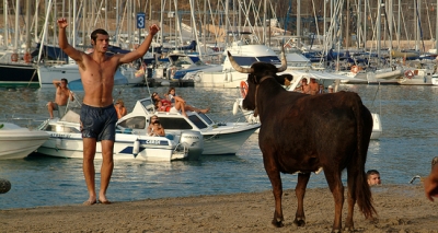 Fiestas en Alicante y provincia