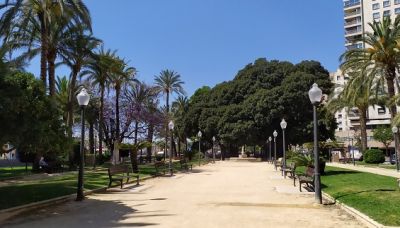 Que Hacer hoy en Alicante