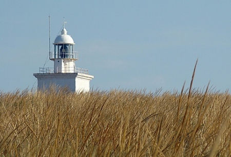 Guia de Ocio de Santa pola 