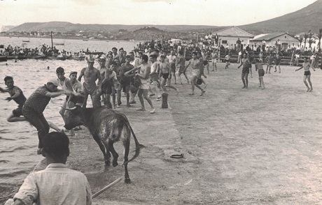 Fiestas en Alicante Hoy