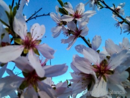 Que hacer hoy en Alicante