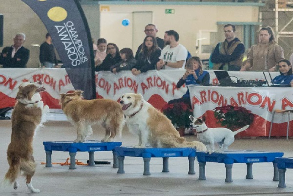 Fiestas en Alicante Hoy