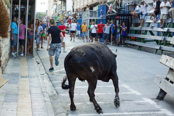 Que hacer en Navidad en Alicante