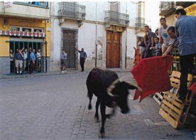 Que hacer en Navidad en Alicante