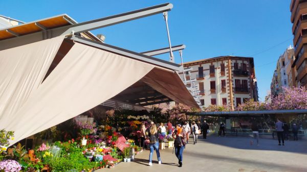 Fiestas en Alicante Hoy