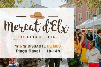 Turismo Gastronmico en Alicante