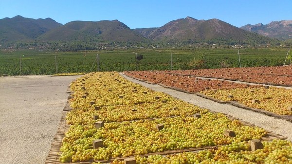 Las tierras altas del Vall de Xal