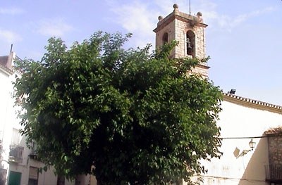 La Font de Benimaurell