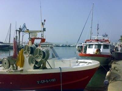 Subhasta de peix a la Llotja de Moraira