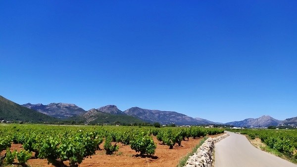 Un valle nico para explorar