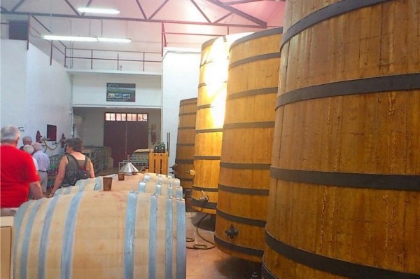 Venta directa al consumidor en Bodega