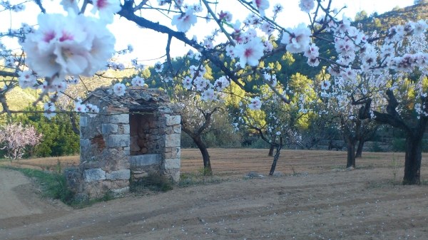 Senderismo por el Valle de Xal