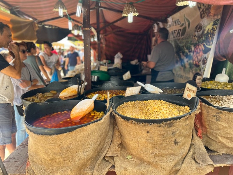 Paseo Canalejas de Alicante