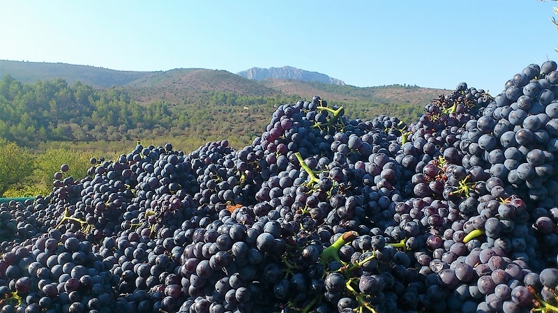 De la Tierra y en el Tiempo